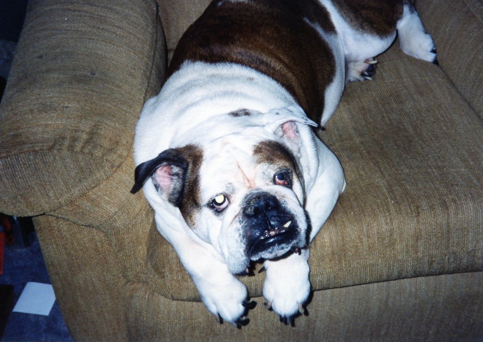 Winston